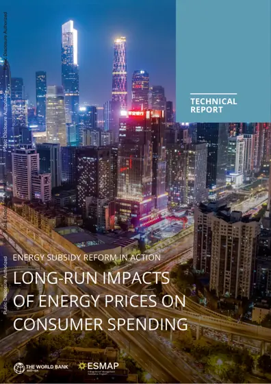 Long-Run Impacts of Energy Prices on Consumer Spending封面