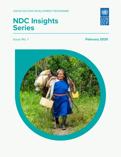 NDC Insights Series, Issue No. 1封面