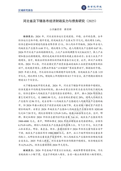 河北省及下辖各市经济财政实力与债务研究(2025)封面