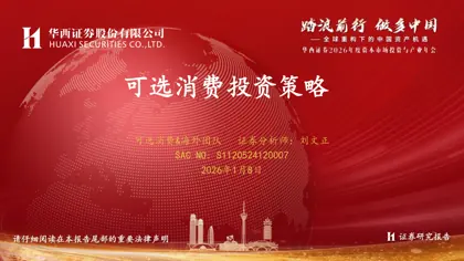 可选消费投资策略封面