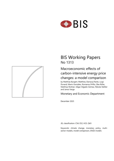 Macroeconomic effects of carbon-intensive energy price changes: a model comparison封面