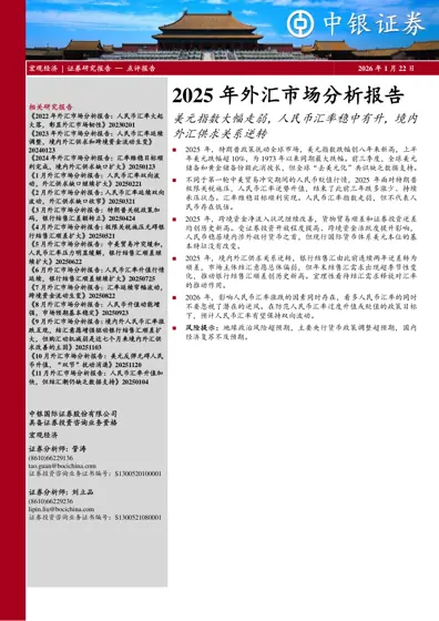 2025年外汇市场分析报告封面