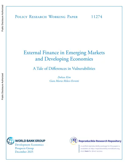 External Finance in Emerging Markets and Developing Economies: A Tale of Differences in Vulnerabilities封面