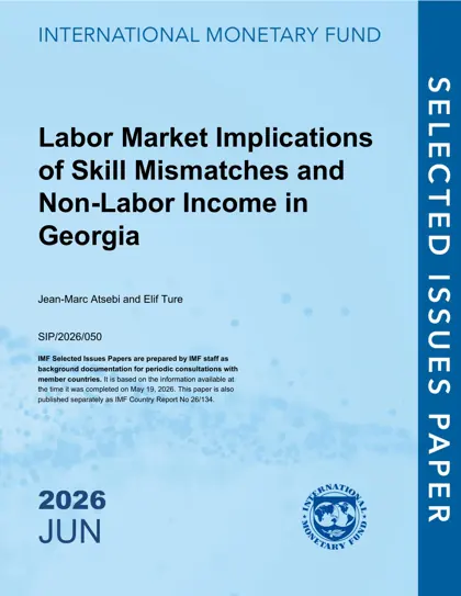 Labor Market Implications of Skill Mismatches and Non-Labor Income in Georgia封面