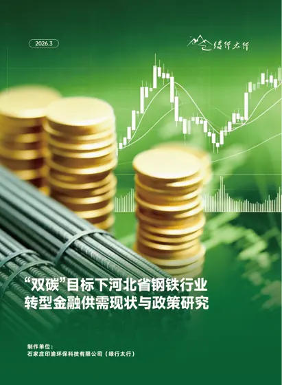 双碳目标下河北省钢铁行业转型金融供需现状与政策研究封面