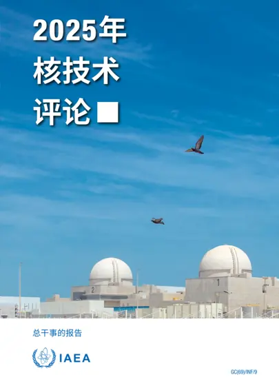 2025年核技术评论封面