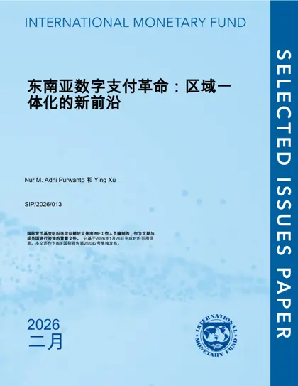 东南亚数字支付革命：区域一体化的新前沿封面