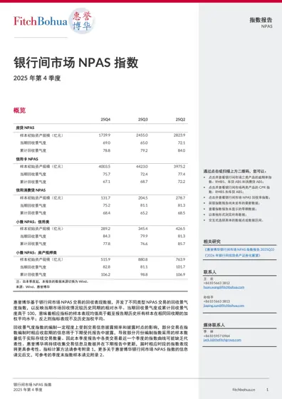 银行间市场NPAS指数 2025年第4季度封面