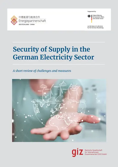 Security of Supply in the German Electricity Sector - A short review of challenges and measures封面