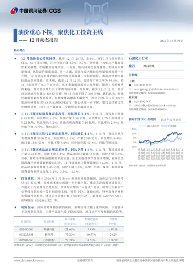 油价重心下探，聚焦化工投资主线 —— 12 月动态报告封面