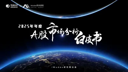 2025年年度A股市场审核及投资分析封面