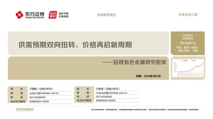 钴锂有色金属研究框架封面