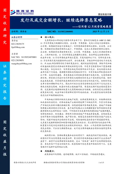 发行及成交金额增长,继续选择票息策略——信用债12月投资策略展望封面