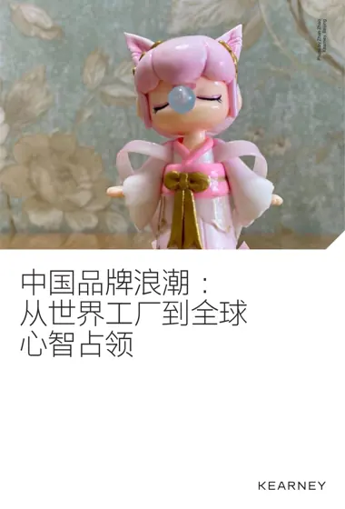 中国品牌浪潮：从世界工厂到全球心智占领封面