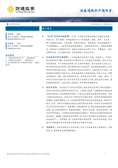 硅基通胀的中国线索封面