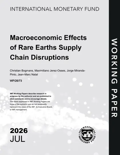 Macroeconomic Effects of Rare Earths Supply Chain Disruptions封面