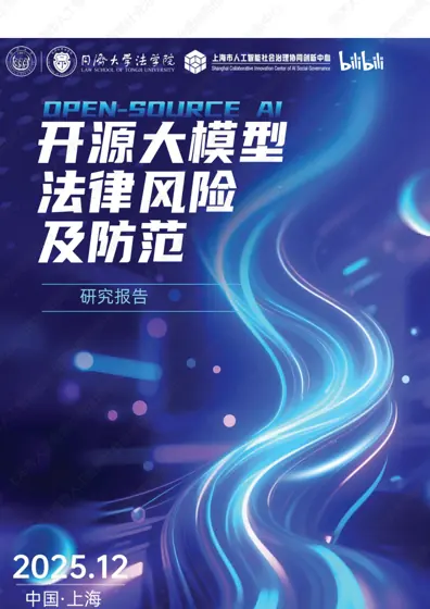 开源大模型法律风险及防范 (2025)封面