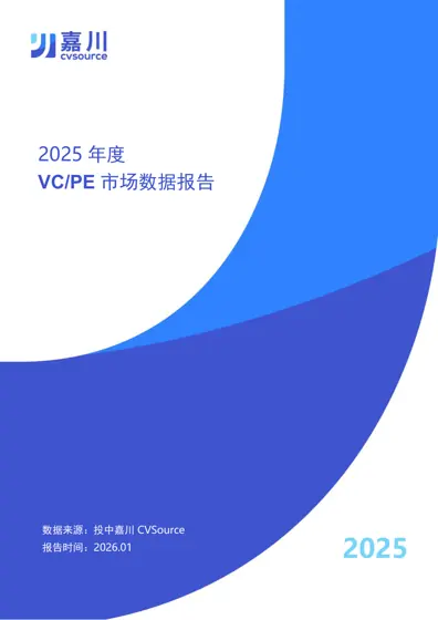 2025 年度 VC/PE 市场数据报告封面