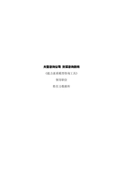 能力素质模型咨询工具封面