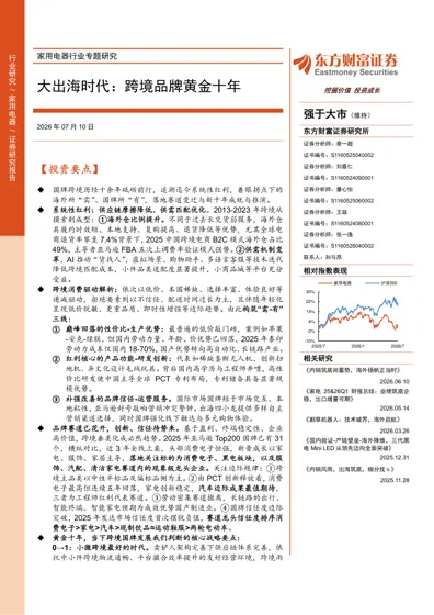 大出海时代:跨境品牌黄金十年封面