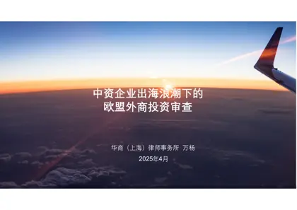 中资企业出海浪潮下的欧盟外商投资审查封面