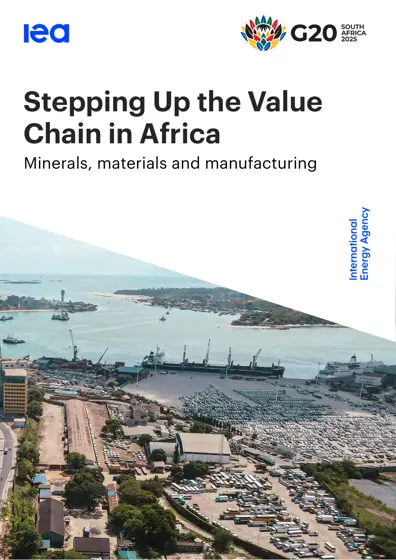 Stepping Up the Value Chain in Africa: Minerals, materials and manufacturing封面