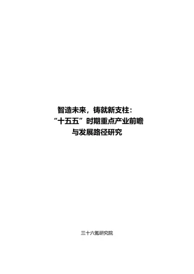智造未来，铸就新支柱：“十五五”时期重点产业前瞻与发展路径研究封面