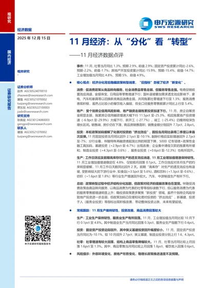 11月经济:从“分化”看“转型”——11月经济数据点评封面