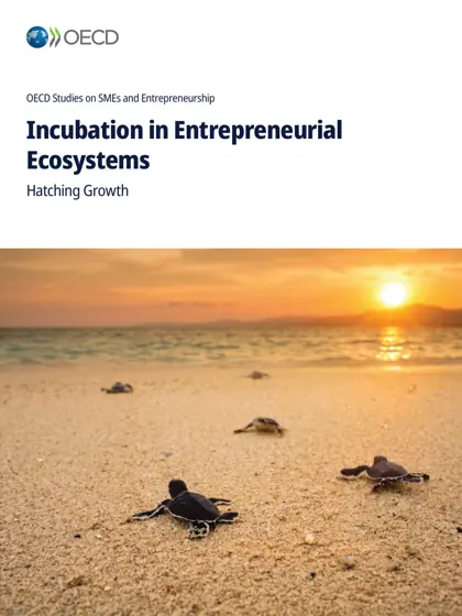 Incubation in Entrepreneurial Ecosystems: Hatching Growth封面