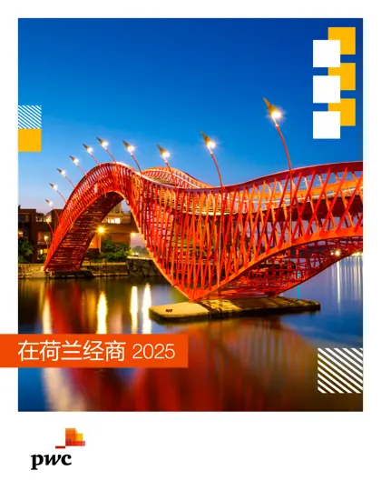 在荷兰经商 2025封面