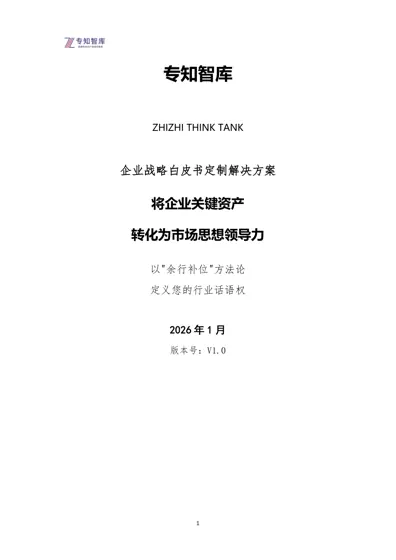 企业战略白皮书定制解决方案封面