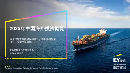 2025年中国海外投资概览封面
