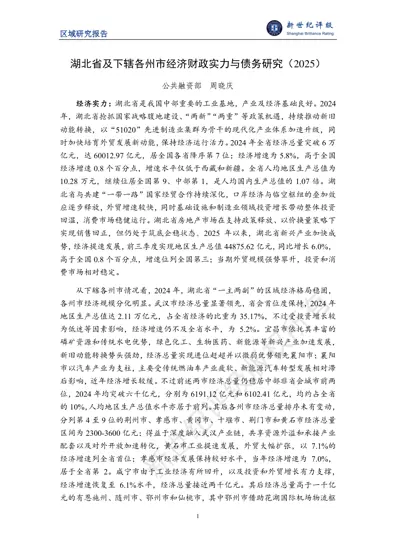 湖北省及下辖各州市经济财政实力与债务研究（2025）封面
