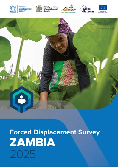 Forced Displacement Survey ZAMBIA 2025封面