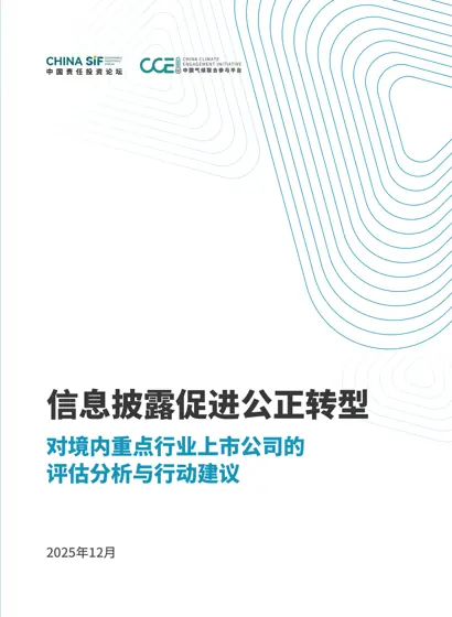 对境内重点行业上市公司的评估分析与行动建议封面
