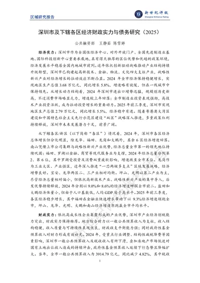 深圳市及下辖各区经济财政实力与债务研究(2025)封面