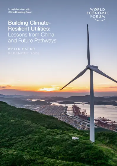 Building Climate-Resilient Utilities: Lessons from China and Future Pathways封面