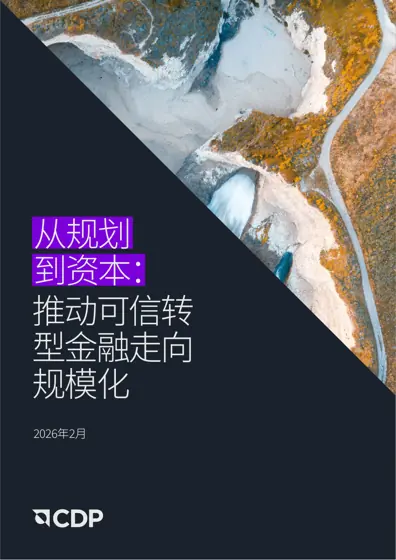 从规划到资本：推动可信转型金融走向规模化封面