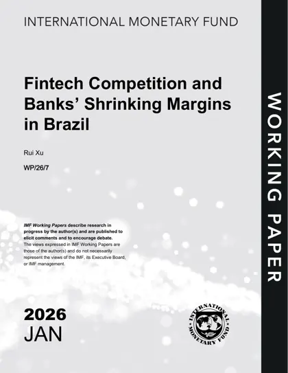 Fintech Competition and Banks' Shrinking Margins in Brazil封面