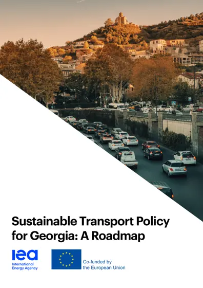 Sustainable Transport Policy for Georgia: A Roadmap封面