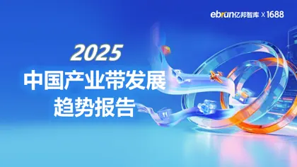 2025中国产业带发展趋势报告封面