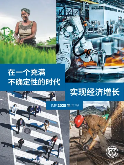在一个充满不确定性的时代实现经济增长 IMF 2025年年报封面