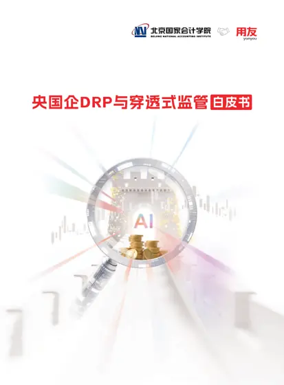 央国企DRP与穿透式监管白皮书封面