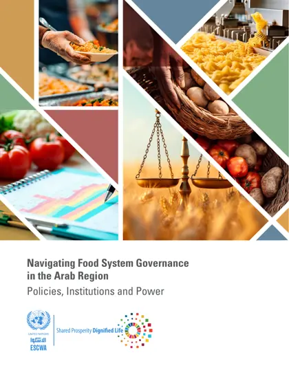 Navigating Food System Governance in the Arab Region: Policies, Institutions and Power封面