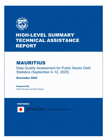 Data Quality Assessment for Public Sector Debt Statistics封面