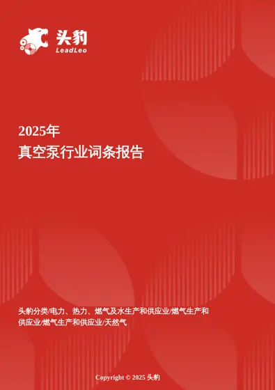 2025年真空泵行业词条报告封面