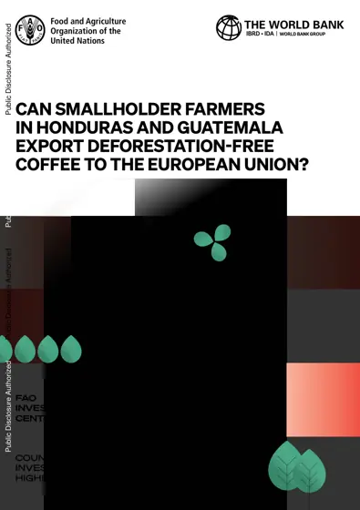 Can smallholder farmers in Honduras and Guatemala export deforestation-free coffee to the European Union?封面