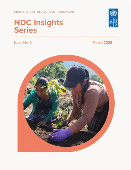 NDC Insights Issue No. 2封面