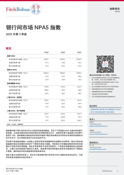 银行间市场NPAS 指数 2025 年第3 季度封面