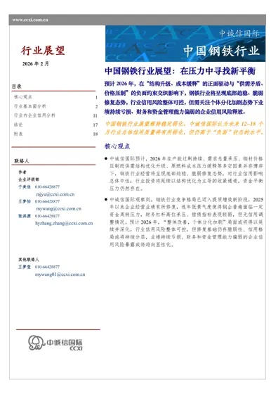 中国钢铁行业展望封面